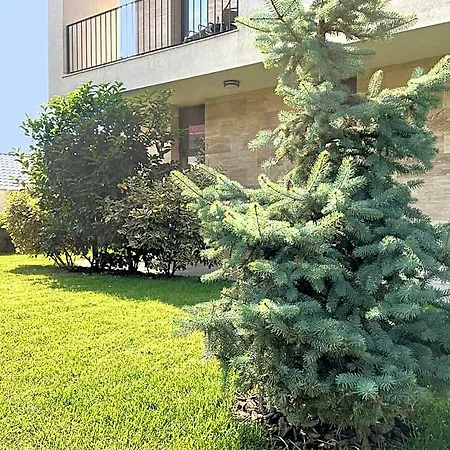 Vila Ducu Mamaia Nord - Teens And Adults Only 14 And Over